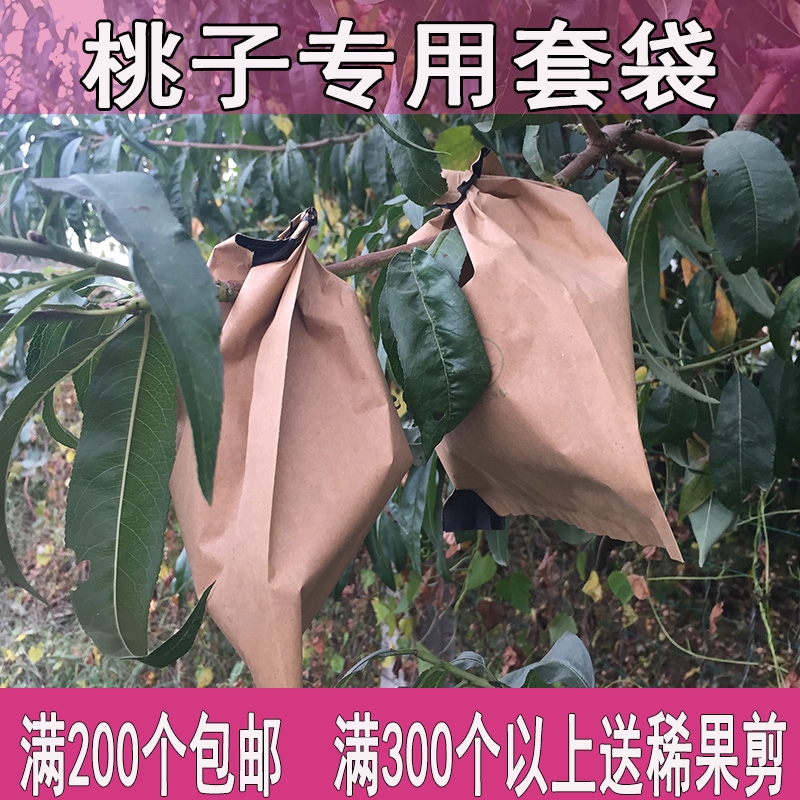 Fruit bag Fruit tree Dedicated Bagging Pest control fruit Tree Packaging bag Fruit tree Dedicated Fruit bagin the Flower delivery/Flowers simulation/Plants gardening , Gardening supplies , Other Garden Supplies category - from Buy2taobao.com to provide professional Taobao agent buy service