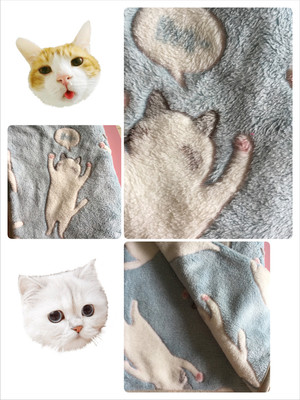春夏日系小猫咪毛毯盖腿办公室午睡毯空调毯宝宝盖毯法莱绒毛毯在类目 床上用品, 休闲毯/毛毯/绒毯中 - 来自Buy2taobao.com提供专业的淘宝代购服务