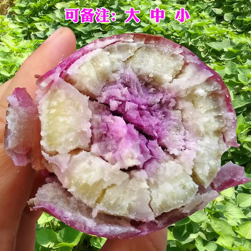 5斤新鲜现挖冰淇淋 爆皮王花心山芋紫心番薯一点红番薯板栗味地瓜在类目 橡塑材料及制品, 塑料容器, 塑料袋/编织袋中 - 来自Buy2taobao.com提供专业的淘宝代购服务