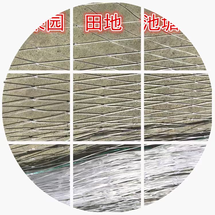网格围栏葡萄樱桃小新款防逃网细眼拦鸡网鱼塘尼龙网樱桃网防鸟网|msdalam kategori penghantaran bunga/bunga simulasi/tumbuhan berkebun, Gardening Supplies, Peralatan Perkebunan lain - dari Buy2taobao.com untuk memberikan perkhidmatan ejen Taobao profesional membeli