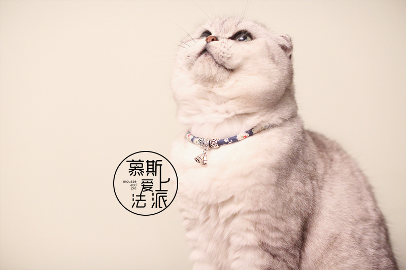慕斯爱上法派 可爱日系风touchdog它它猫脖圈猫项链在类目 宠物/宠物食品及用品, 宠物服饰及配件, 挂饰/挂牌中 - 来自Buy2taobao.com提供专业的淘宝代购服务