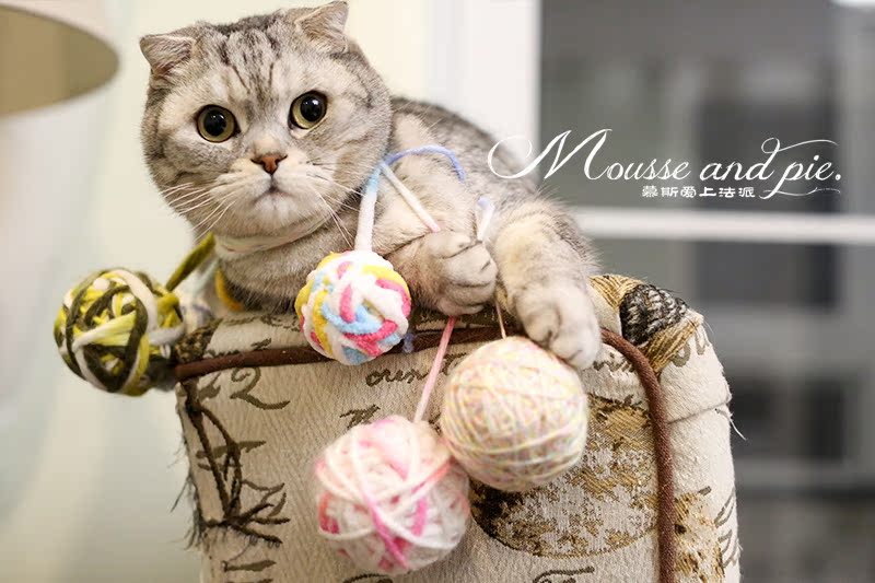 Mousse Fall in love Law School Multi-Grid Man knitting wool ball organization Rainbow QQ Kitty Wool Toys Ball of yarnin the Pet/Pet food and supplies , Cat/Dog Toys , Rubber Ball/Ball Toys category - from Buy2taobao.com to provide professional Taobao agent buy service