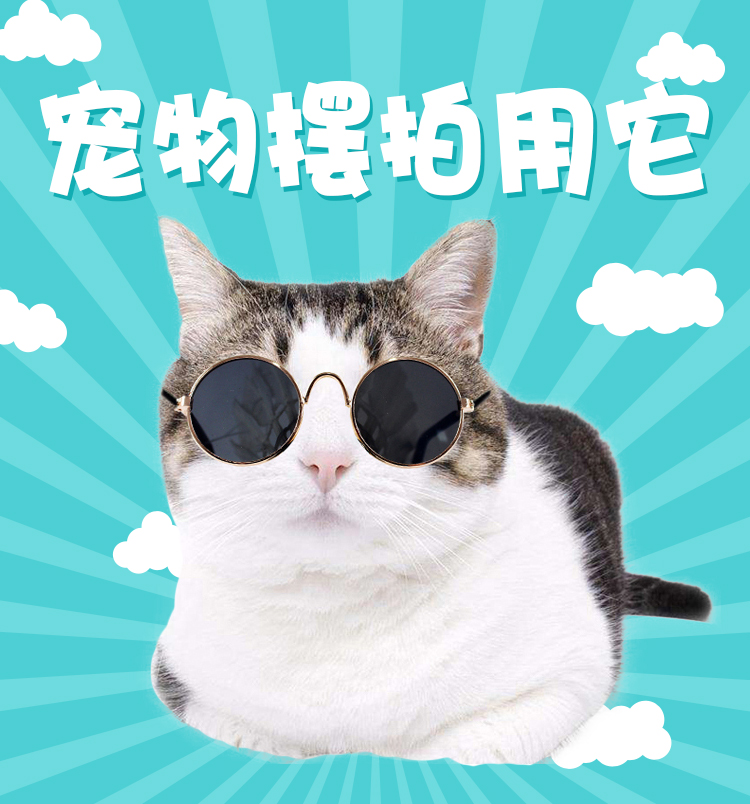 宠物猫咪太阳镜个性摆拍炫酷迷你小眼镜 搞怪网红猫时尚潮流墨镜在类目 宠物/宠物食品及用品, 宠物服饰及配件, 其它服饰配件中 - 来自Buy2taobao.com提供专业的淘宝代购服务
