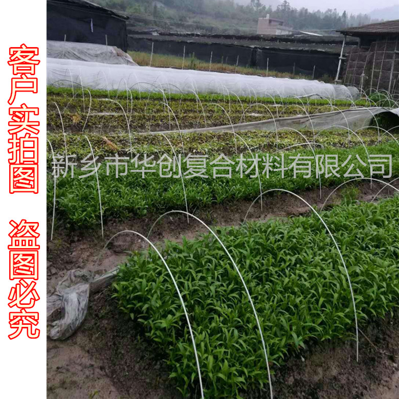 花卉葡萄西瓜猕猴桃草莓种植弓棚蔬菜小拱棚支架5mm玻璃钢弹力棒在类目 鲜花速递/花卉仿真/绿植园艺, 园艺用品, 其它园艺用品中 - 来自Buy2taobao.com提供专业的淘宝代购服务