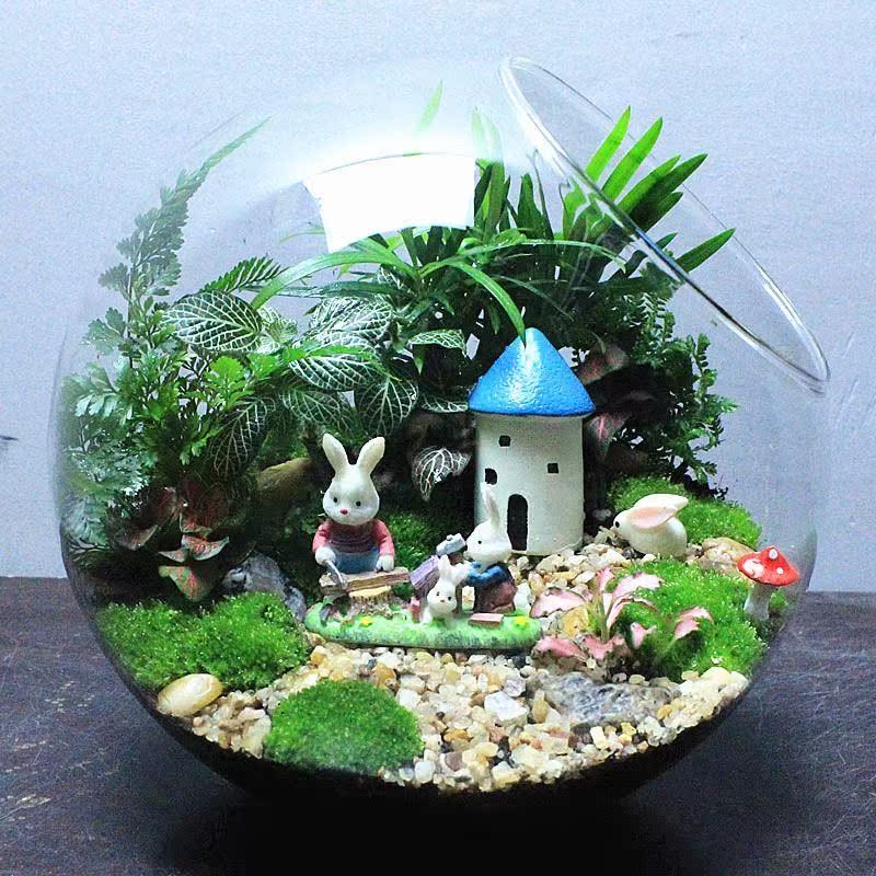 Mini landscape creative plant DIY plant birthday gift mossin the Flower delivery/Flowers simulation/Plants gardening , Creative mini-plant category - from Buy2taobao.com to provide professional Taobao agent buy service