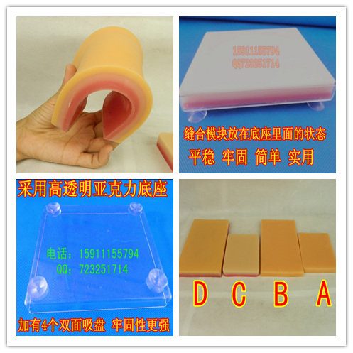 skin suture Practice modular skin suture Practice Model Human skin suture Model modularin the Toy/Childs/Puzzle/Building block/Model , Static model , Other model toys category - from Buy2taobao.com to provide professional Taobao agent buy service