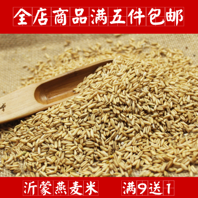 沂蒙农家燕麦米 燕麦仁燕麦粒 满额包邮 250g 五谷杂粮粗粮煮粥
