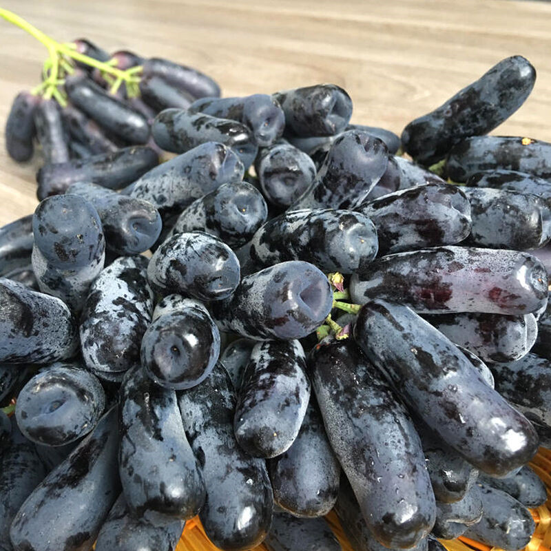 美国甜蜜蓝宝石无籽葡萄树苗当年结果南方北方种植盆栽果树苗包邮|ruв категории офисное оборудование/расходные материалы/соответствующие услуги, упаковочного оборудования/знаки и расходных материалов, посылочный мешок/сплетенный мешок - от Buy2taobao.com для оказания профессиональной услуги покупки агента Taobao