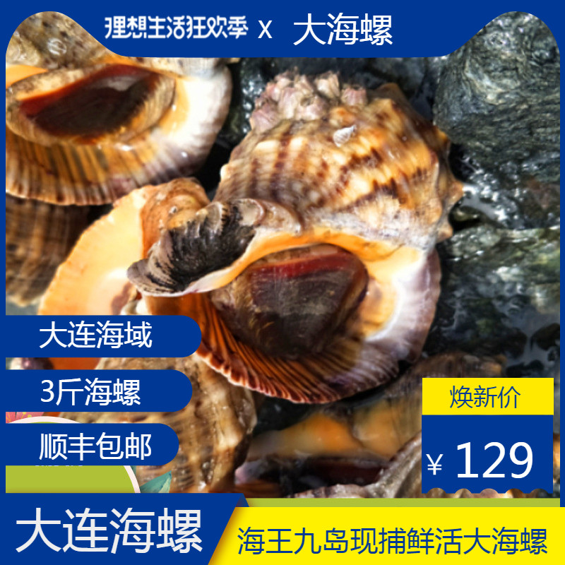大連海螺鮮活野生海螺大海螺天然新鮮海螺鮮活超大麻辣海螺大海螺在類目 水產肉類/新鮮蔬果/熟食, 海鮮/水產品/製品, 貝類, 貝類製品中 - 來自Buy2taobao.com提供專業的淘寶代購服務