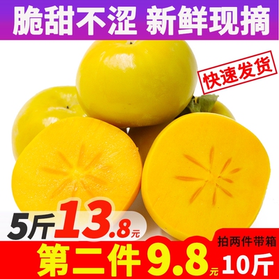 脆柿子脆柿5斤硬柿子脆甜柿子当季新鲜水果2件发整箱10斤批发包邮