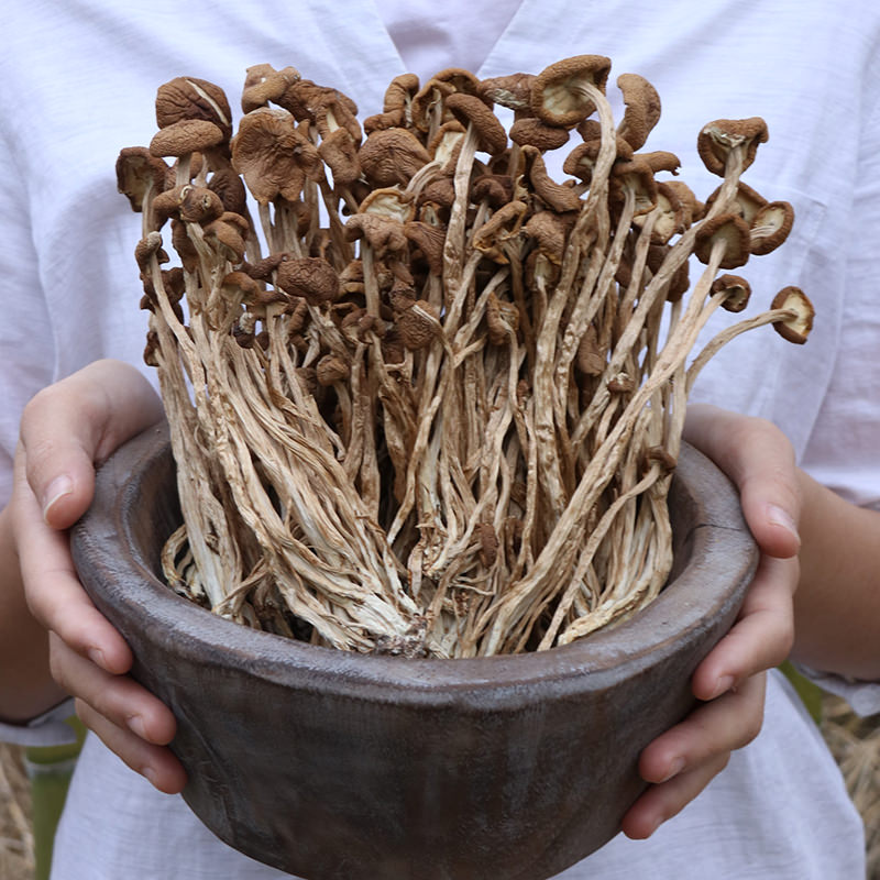 250g茶树菇干货农家特产野蘑菇生新鲜包邮不开伞特级香菇在类目 粮油米面/南北干货/调味品, 南北干货/肉类干货, 干货/土特产, 香菇类中 - 来自Buy2taobao.com提供专业的淘宝代购服务