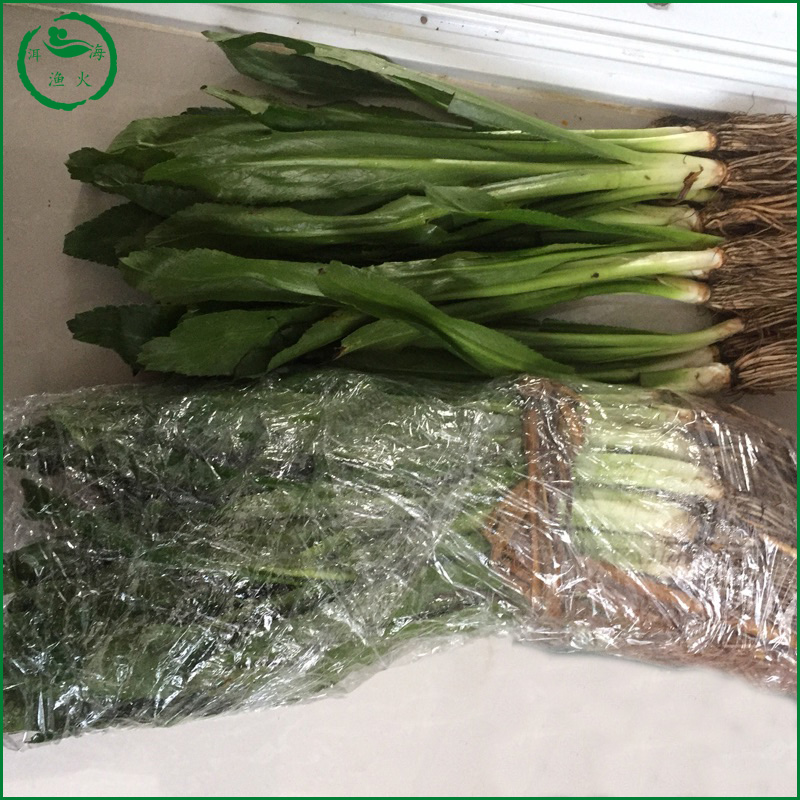 不帶根】2斤雲南野生傣味大芫荽大香菜 緬甸刺芹刺芫荽洋芫荽新鮮在類目 水產肉類/新鮮蔬果/熟食, 新鮮蔬菜/蔬菜製品, 新鮮蔬菜, 其它中 - 來自Buy2taobao.com提供專業的淘寶代購服務