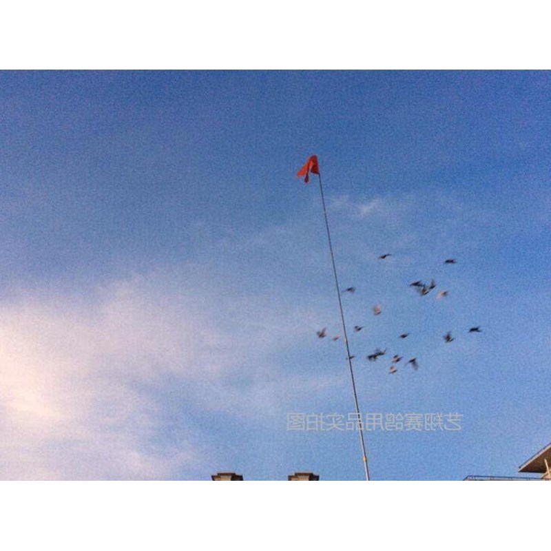 Pigeon Pigeon dove Supplies flagpole red flag Stainless steel Scalable Netbagin the Packing, Commodity packing, Toy packaging category - from Buy2taobao.com to provide professional Taobao agent buy service