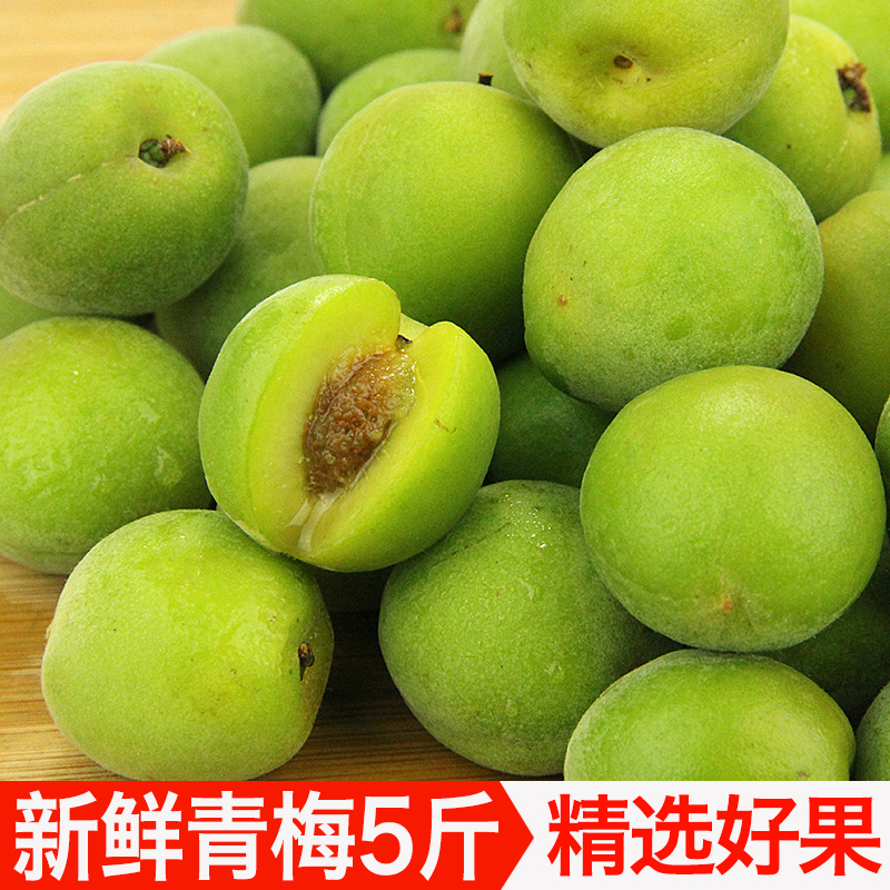 云南新鲜青梅果现摘现发青梅当季酸水果5斤包邮泡酒酵素酸梅子|msdalam kategori daging perikanan/Buah-buahan segar dan sayur-sayuran/dimasak, buah-buahan segar, lain - dari Buy2taobao.com untuk memberikan perkhidmatan ejen Taobao profesional membeli