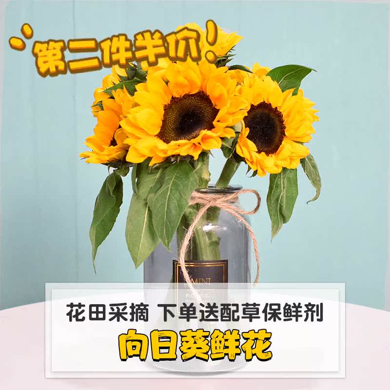 云南鲜花向日葵同城速递礼品花送长辈元旦礼物空运到家在类目 鲜花速递/花卉仿真/绿植园艺, 鲜花速递(同城)中 - 来自Buy2taobao.com提供专业的淘宝代购服务