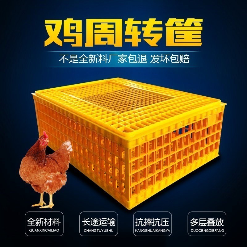 肉鸡框朔料装鸡鸭子的笼子鸭笼大号塑料鸡笼运输成鸡周转箱活鸡筐在类目 玩具/童车/益智/积木/模型, 电子/发光/充气/整蛊玩具, 塑料充气玩具(其他材质勿放)中 - 来自Buy2taobao.com提供专业的淘宝代购服务