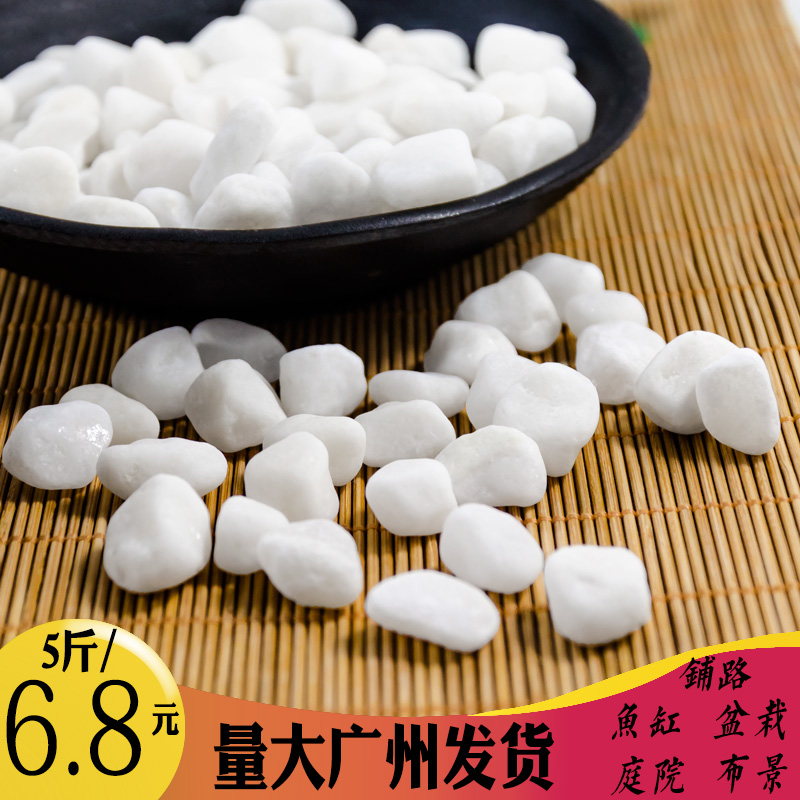 天然白色石頭多肉盆栽鋪面小白石子魚缸造景鋪路裝飾雨石鵝卵石在類目 鮮花速遞/花卉仿真/綠植園藝, 園藝用品, 其它園藝用品中 - 來自Buy2taobao.com提供專業的淘寶代購服務