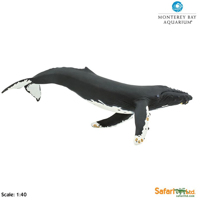 大座头鲸模型 美国Safari正品 蒙特雷湾水族馆陈列模型 欧美教具|ruв категории игрушка/коляска/головоломка/блоки/модель, моделирование/играть в игрушки, моделирование/животных, куклы - от Buy2taobao.com для оказания профессиональной услуги покупки агента Taobao