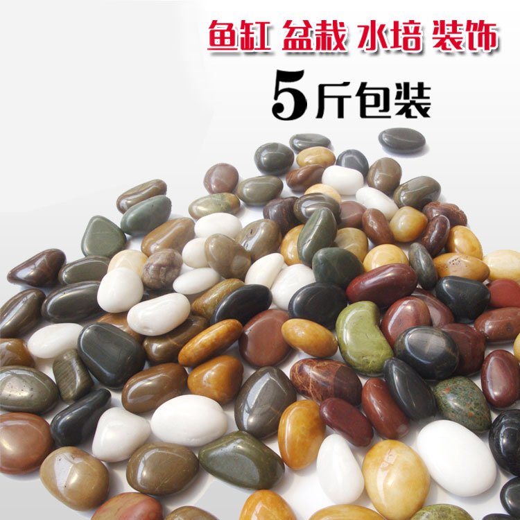 Pebble Stone Pebbles rough fish tank Flower pot decorate Potted plant Landscaping Yi Cai stone 5 cattiesin the Flower delivery/Flowers simulation/Plants gardening , Gardening supplies , Other Garden Supplies category - from Buy2taobao.com to provide professional Taobao agent buy service