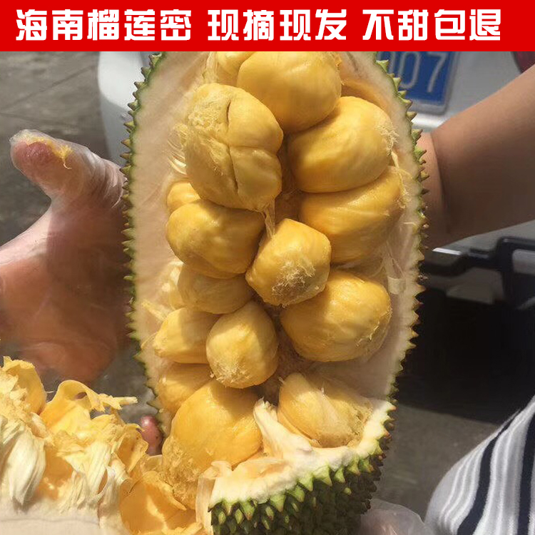 Hainan Tropical fruit Liulianmi Durian jackfruit Slap Durian 1-2 Five Kinds of Sweet Bagin the Aquatic meat/Fresh fruits and vegetables/Cooked , Fresh fruit , Other category - from Buy2taobao.com to provide professional Taobao agent buy service