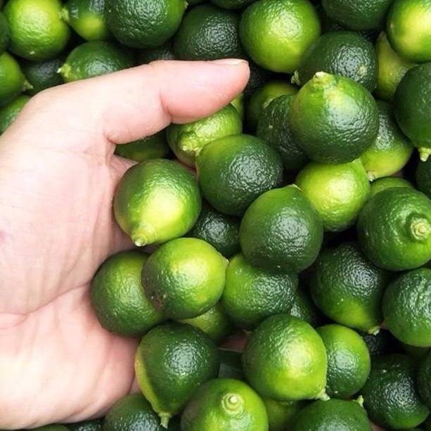 Hainan Green kumquat fresh fruit indigo plant fresh Fruit 3 Small fruitin the Aquatic meat/Fresh fruits and vegetables/Cooked , Fresh fruit , Orange category - from Buy2taobao.com to provide professional Taobao agent buy service