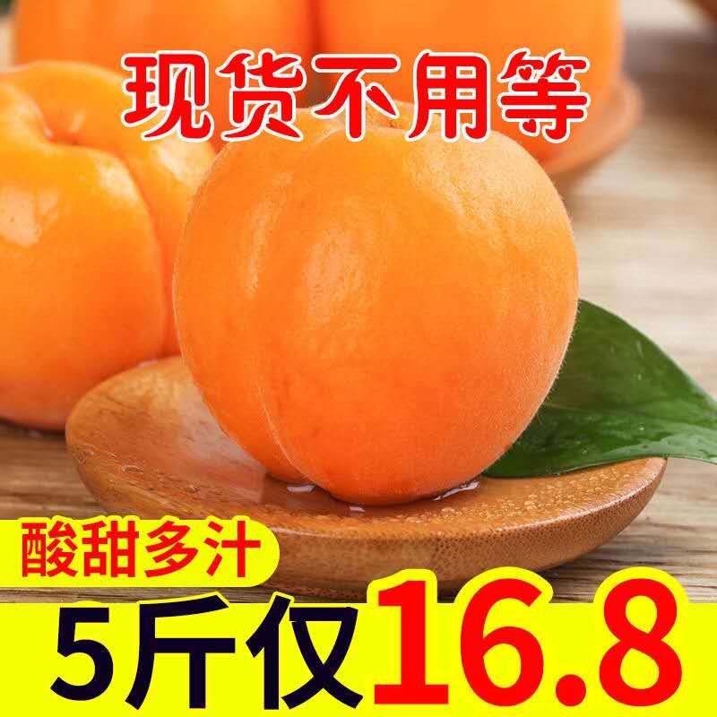 杏子便宜新鲜应季水果直批整箱5斤现季当季河南金太阳大黄杏现货|ruв категории водной мясо/свежие фрукты и овощи/еда, свежие фрукты, другие - от Buy2taobao.com для оказания профессиональной услуги покупки агента Taobao