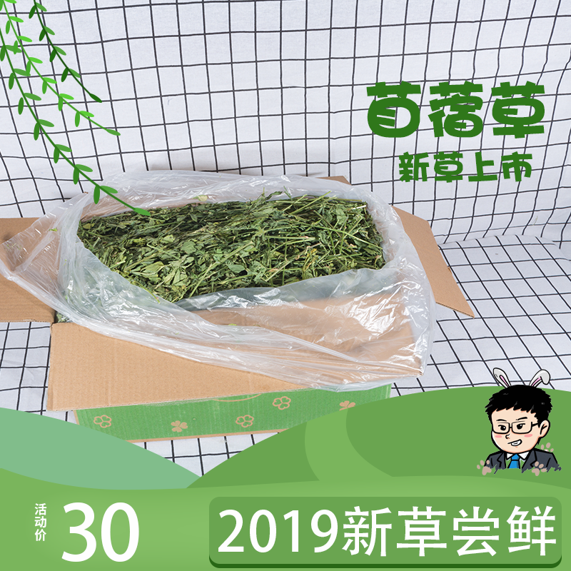 紫花苜蓿草苜宿草幼兔粮新鲜干草兔子龙猫荷兰猪粮食饲料食物牧草|ruв категории животное/Животное питание и принадлежностей, зайцеобразные и принадлежностей, сено - от Buy2taobao.com для оказания профессиональной услуги покупки агента Taobao