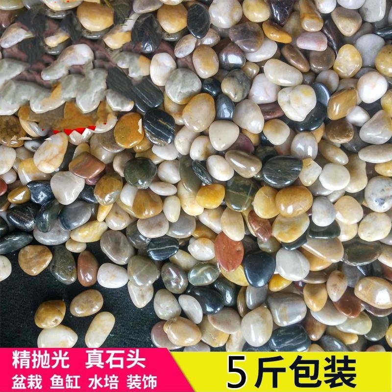 花园自然鱼池铺垫文艺盆景石子鱼缸花盆彩色鹅卵石头天然装饰垫底在类目 鲜花速递/花卉仿真/绿植园艺, 园艺用品, 其它园艺用品中 - 来自Buy2taobao.com提供专业的淘宝代购服务