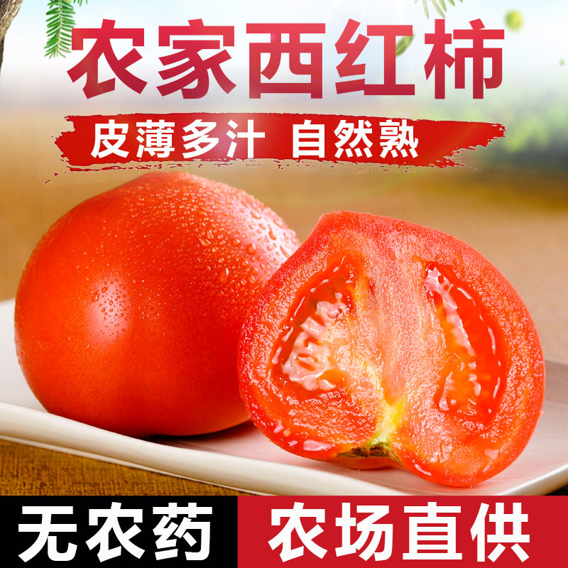 西红柿 番茄沙瓤自然熟新鲜时令蔬菜水果五斤包邮山东洋柿子在类目 水产肉类/新鲜蔬果/熟食, 新鲜蔬菜/蔬菜制品, 新鲜蔬菜, 番茄中 - 来自Buy2taobao.com提供专业的淘宝代购服务