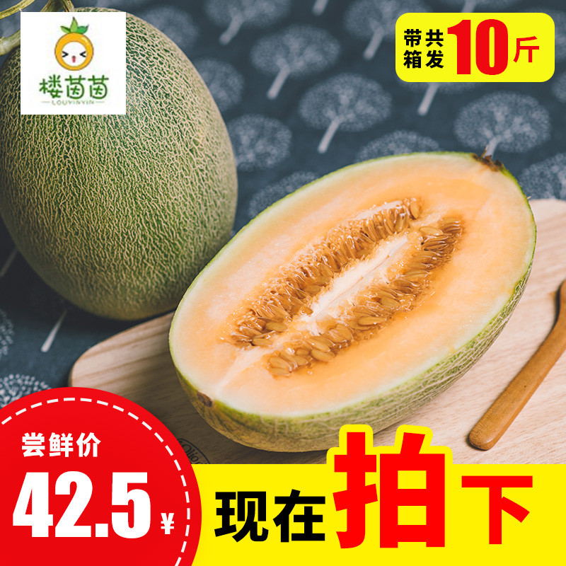 西州蜜瓜哈密瓜网纹瓜甜新鲜水果包邮当季整带箱10斤在类目 水产肉类/新鲜蔬果/熟食, 新鲜水果, 哈密瓜中 - 来自Buy2taobao.com提供专业的淘宝代购服务