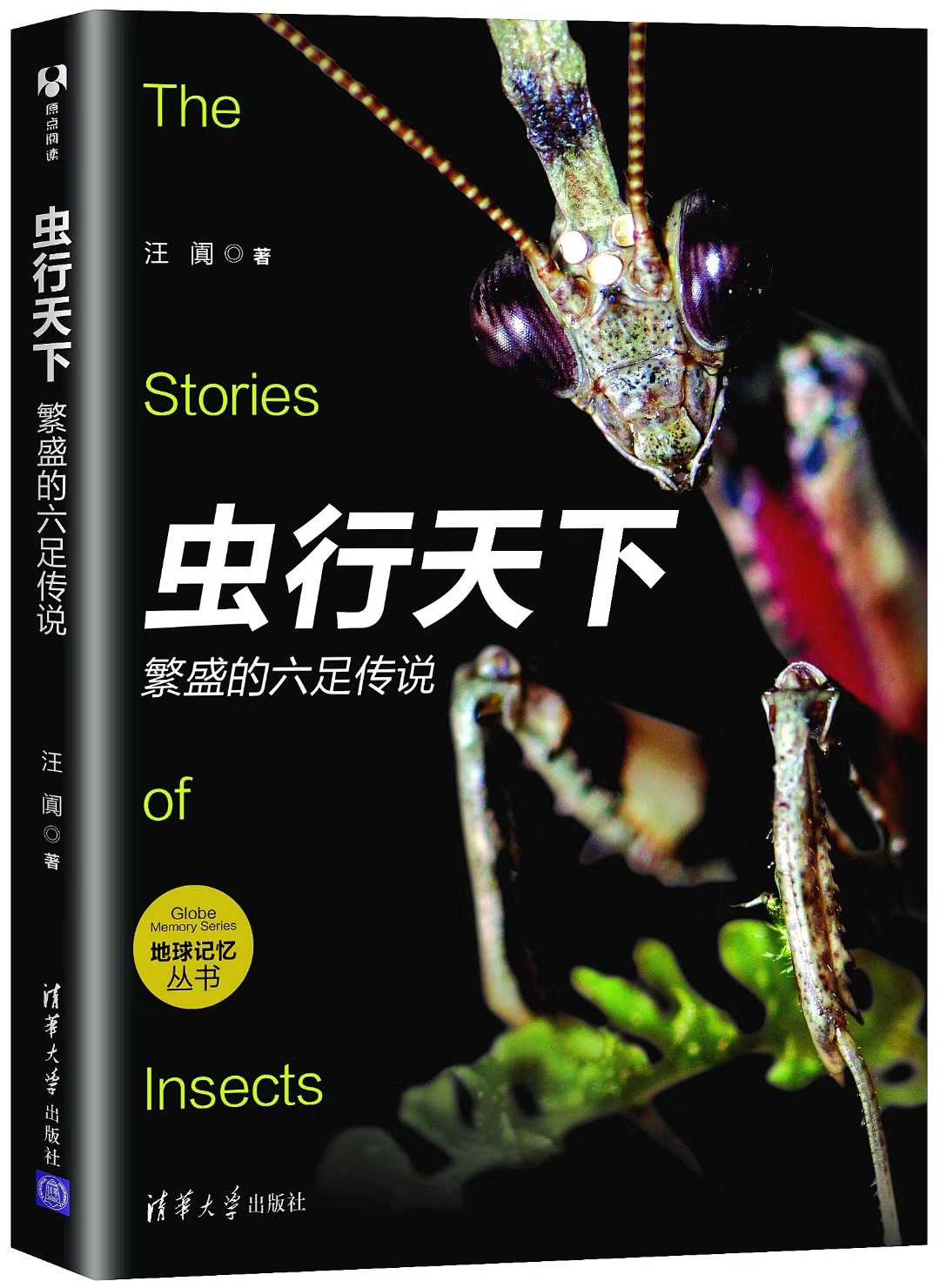 Insects go all over the worldin the Home accessories , Creative Jewelry , Conch/Shell/Coral category - from Buy2taobao.com to provide professional Taobao agent buy service