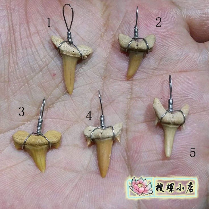 小鱼牙化石吊坠/多选一|msdalam kategori Aksesori/Barang Kemas Fesyen, loket/loket - dari Buy2taobao.com untuk memberikan perkhidmatan ejen Taobao profesional membeli