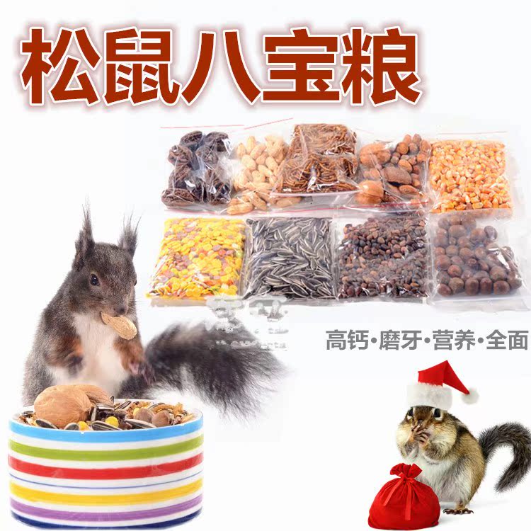 包邮8种食物】松鼠吃的】松鼠粮食零食坚果魔王金花主粮雪地干粮在类目 橡塑材料及制品, 塑料容器, 塑料袋/编织袋中 - 来自Buy2taobao.com提供专业的淘宝代购服务