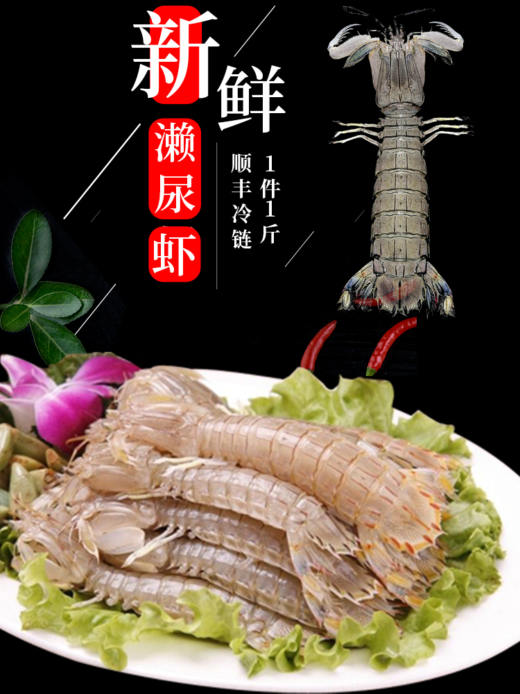 大皮皮虾鲜活免邮虾爬子500g海鲜濑尿虾鲜活水产富贵虾虾姑琵琶虾在类目 水产肉类/新鲜蔬果/熟食, 海鲜/水产品/制品, 虾类, 活虾中 - 来自Buy2taobao.com提供专业的淘宝代购服务