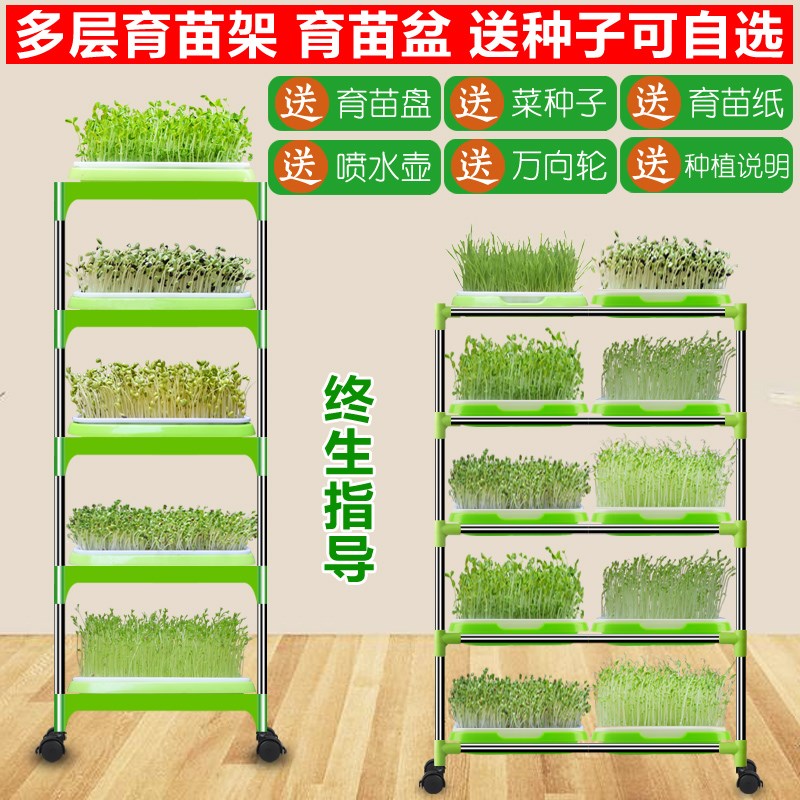 芽苗菜育苗盤豆芽菜種植盤托盤綠豆苗小麥苗種子無土栽培水培蔬菜在類目 鮮花速遞/花卉仿真/綠植園藝, 園藝用品, 育苗盤/營養鉢中 - 來自Buy2taobao.com提供專業的淘寶代購服務
