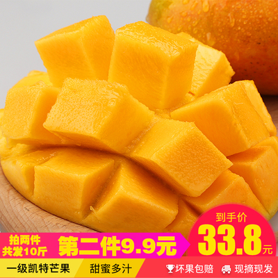 攀枝花凯特大芒果 当季热带新鲜孕妇水果 5斤现摘现发 特产青芒果