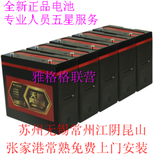 天能電池真黑金48V20AH60V22.3AH72V20ah電動車石墨烯12V蓄電瓶在類目 電動車/配件/交通工具, 電動車零/配件, 電動車電池中 - 來自Buy2taobao.com提供專業的淘寶代購服務