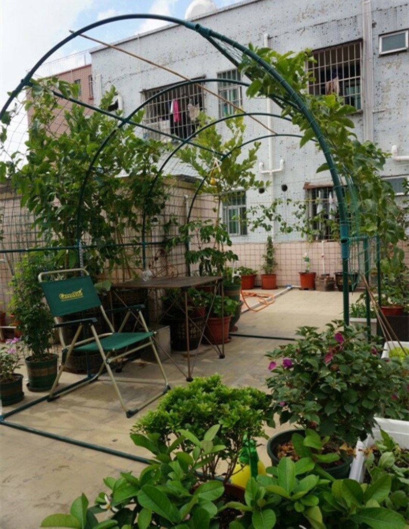 植物爬藤架大棚骨架 楼顶种菜爬藤 菜架攀藤架 植物攀爬园艺支架在类目 鲜花速递/花卉仿真/绿植园艺, 园艺用品, 其它园艺用品中 - 来自Buy2taobao.com提供专业的淘宝代购服务