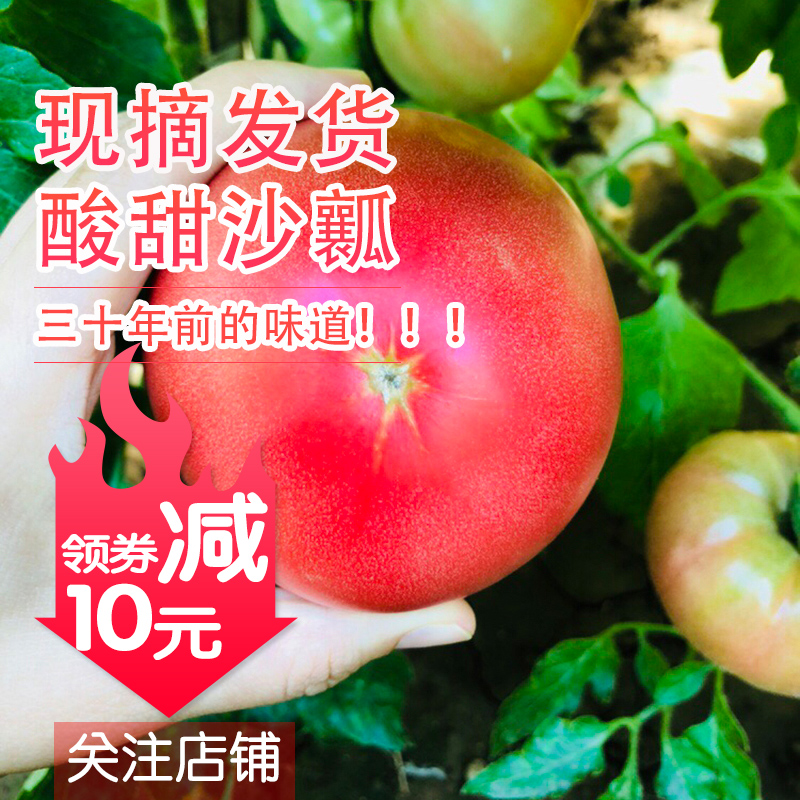 平谷正宗杨各庄西红柿新鲜番茄礼盒自然熟水果酸甜沙瓤现摘现发在类目 水产肉类/新鲜蔬果/熟食, 新鲜蔬菜/蔬菜制品, 新鲜蔬菜, 番茄中 - 来自Buy2taobao.com提供专业的淘宝代购服务