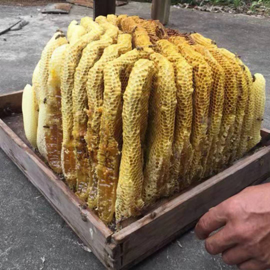 膳先生中华蜂蜂巢500g在类目 传统滋补营养品, 蜂蜜中 - 来自Buy2taobao.com提供专业的淘宝代购服务