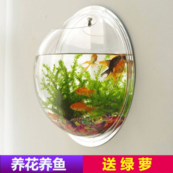 迷你外置餐厅装饰品挂壁壁式小型壁挂式金鱼缸悬挂式家用挂墙壁挂|msdalam kategori Aksesori rumah, mural - dari Buy2taobao.com untuk memberikan perkhidmatan ejen Taobao profesional membeli
