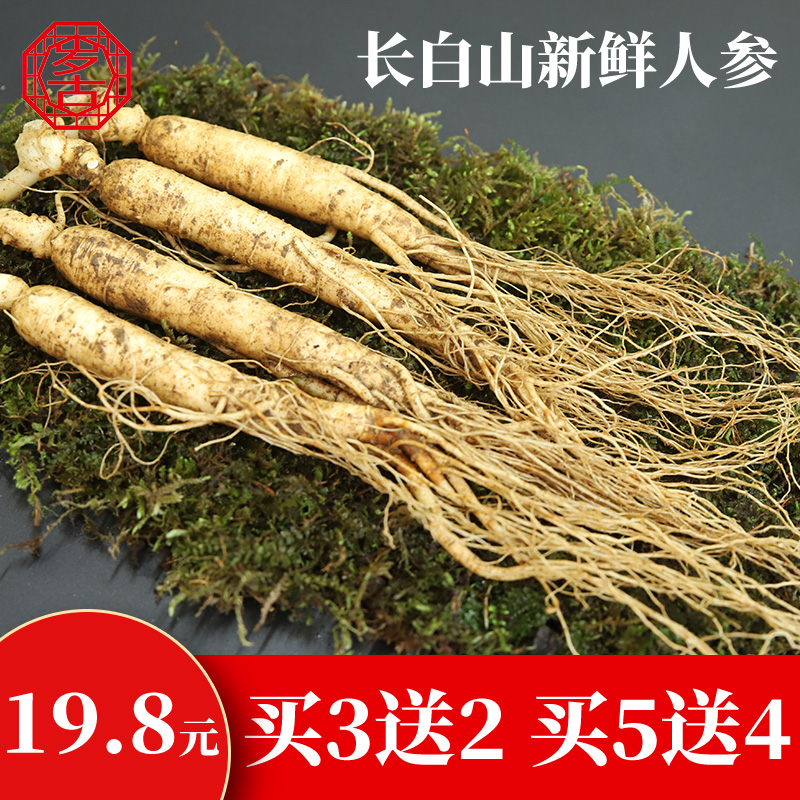 长白山人参 鲜参 新鲜林下参煲汤泡酒野山参【买3送2 买5送4支】|msdalam kategori makanan berkhasiat tradisional, ginseng tonik, ginseng/ginseng - dari Buy2taobao.com untuk memberikan perkhidmatan ejen Taobao profesional membeli