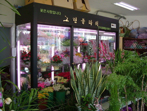 齐美风冷品质鲜花柜 风冷冷藏展示柜鲜花店鲜花冷藏展示柜09YG在类目 厨房电器, 商用厨电, 展示柜中 - 来自Buy2taobao.com提供专业的淘宝代购服务