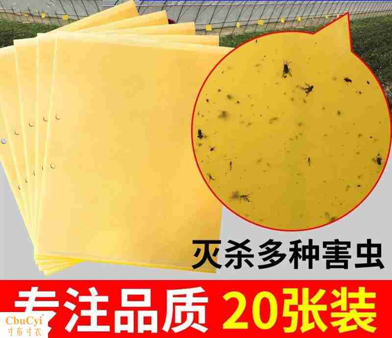 抗高温纸贴蓝板沾虫小黑飞优质粘虫板防水高效粘果蝇抗热耐用黄板在类目 鲜花速递/花卉仿真/绿植园艺, 园艺用品, 其它园艺用品中 - 来自Buy2taobao.com提供专业的淘宝代购服务