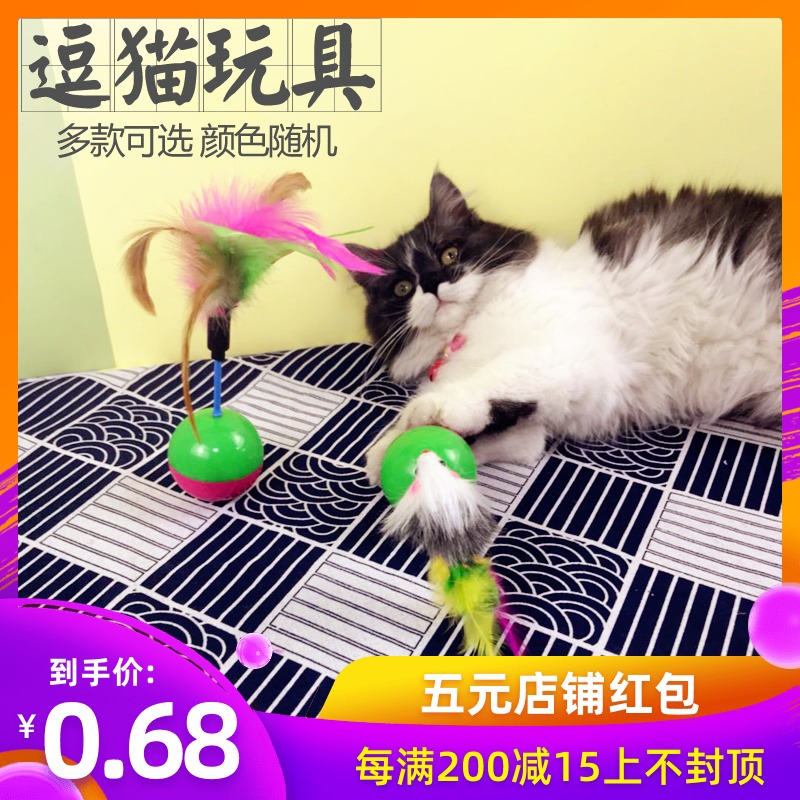 滿49包郵寵物用品 貓狗玩具 透明塑料雙色球 貓咪益智專享玩具在類目 寵物/寵物食品及用品, 貓/狗玩具, 發聲玩具中 - 來自Buy2taobao.com提供專業的淘寶代購服務