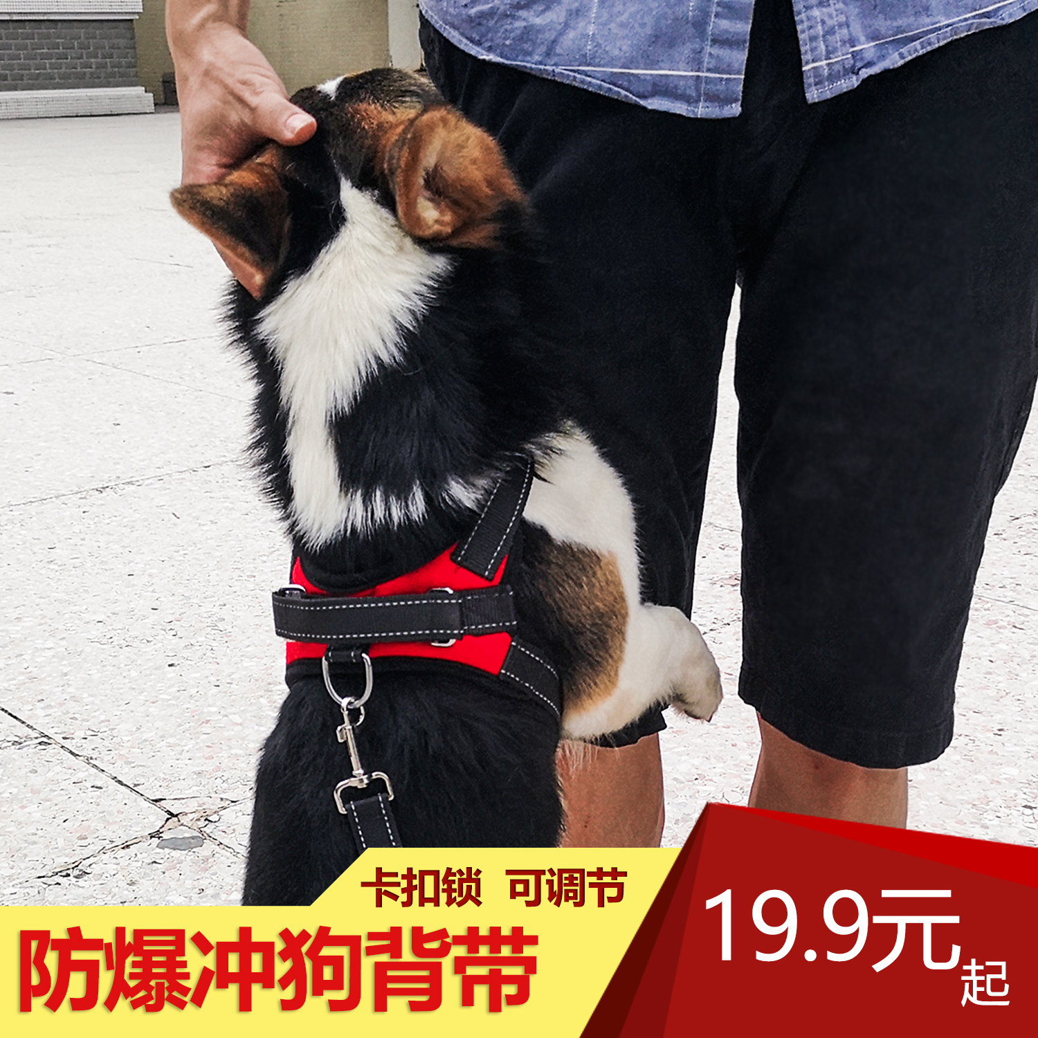 Dogs Traction rope Walk the dog The dog chain Sizes Golden Retriever Teddy Rab Lhatog Thoracolumbar band Suppliesin the Pet/Pet food and supplies , Cat/Dog Supplies , Household leashes category - from Buy2taobao.com to provide professional Taobao agent buy service
