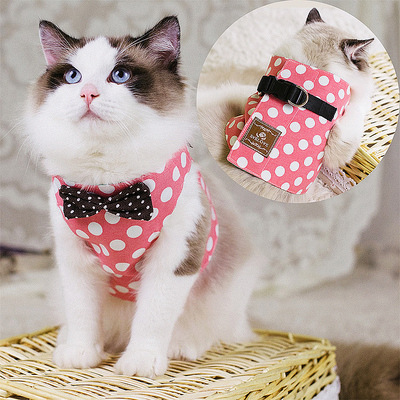 猫咪衣服夏季猫背心式牵引绳两用衣服 薄款背心式幼猫穿的小衣服在类目 宠物/宠物食品及用品, 猫/狗日用品, 家用牵引带中 - 来自Buy2taobao.com提供专业的淘宝代购服务