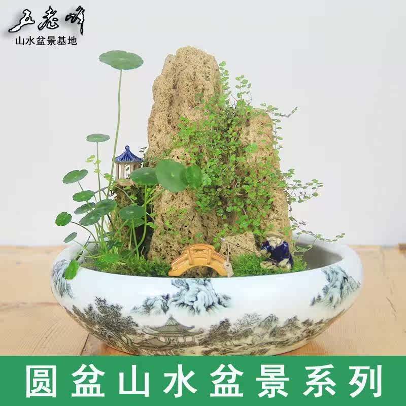 。五老峰天然上水石原石假山吸水石山水盆景奇石摆件带植物整套包|ruв категории доставка цветов/цветок моделирования/растения садоводства, садовых принадлежностей, других садовых принадлежностей - от Buy2taobao.com для оказания профессиональной услуги покупки агента Taobao