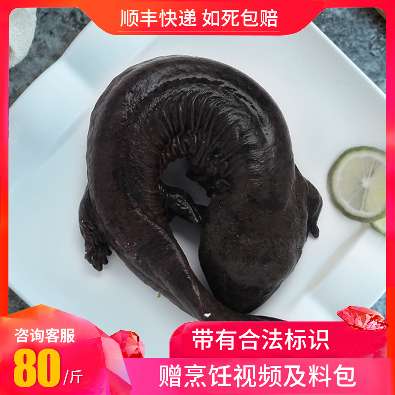 活体娃娃鱼生鲜食用鲜活食材80/斤 活体水产大鲵苗 孕妇月子餐汤在类目 水产肉类/新鲜蔬果/熟食, 海鲜/水产品/制品, 其它中 - 来自Buy2taobao.com提供专业的淘宝代购服务