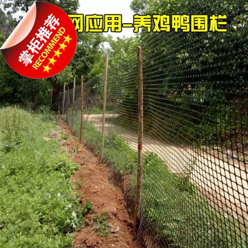 单向双向钢塑格栅玻璃钢塑料玻纤土工格L栅护坡路基塑料网|ruв категории основы строительных материалов, других основных строительных материалов, базовых материалов, - от Buy2taobao.com для оказания профессиональной услуги покупки агента Taobao